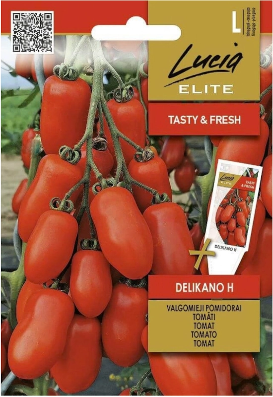 Pomidor Delikano H bardzo plenna odmiana nasiona 0,1 g Lucia Elite sklep rajogrodnika